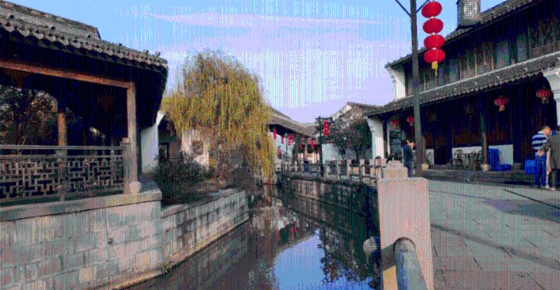 救援快乐的兔子